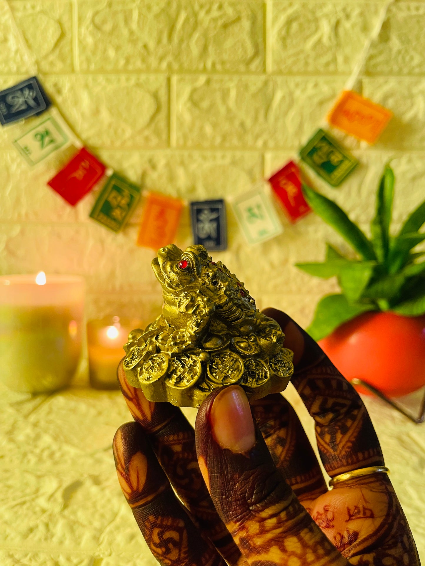 Feng Shui Golden Frog for Good Luck