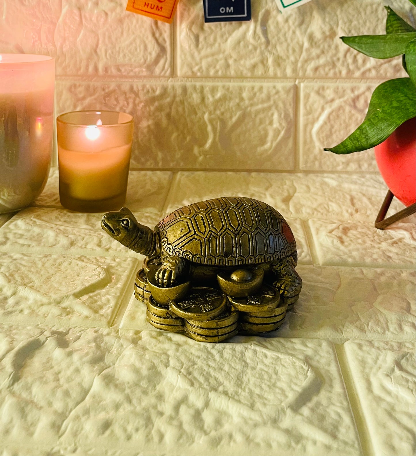 Feng Shui Golden Tortoise with Coins for Good Luck