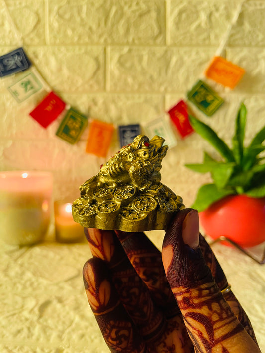 Feng Shui Golden Frog for Good Luck