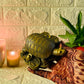 Feng Shui Golden Tortoise with Coins for Good Luck