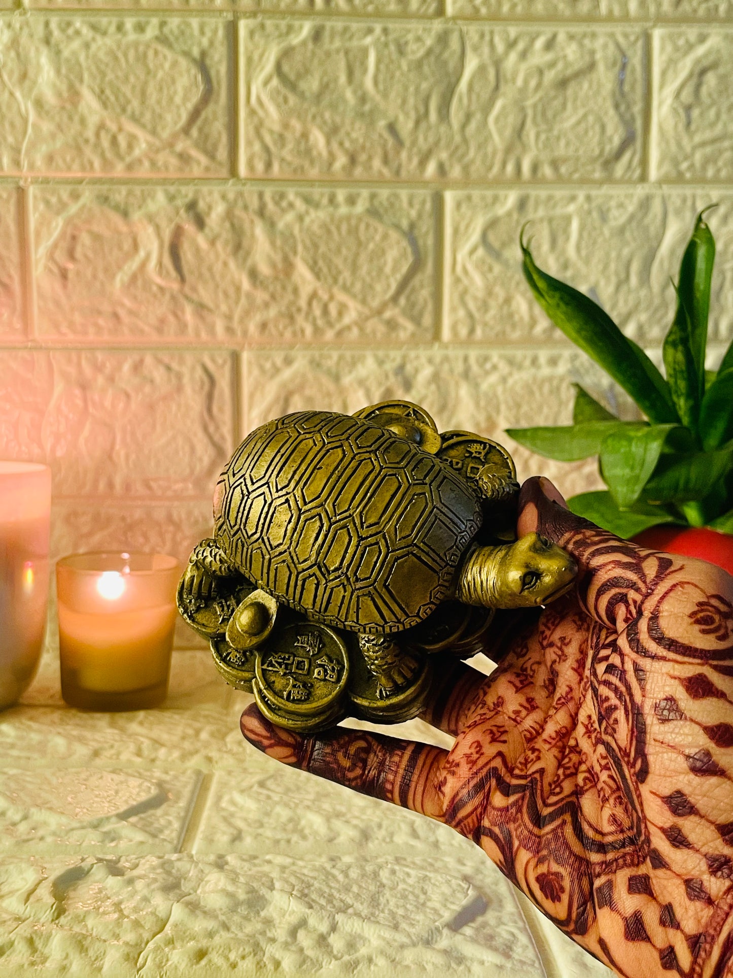 Feng Shui Golden Tortoise with Coins for Good Luck