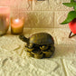 Feng Shui Golden Tortoise with Coins for Good Luck